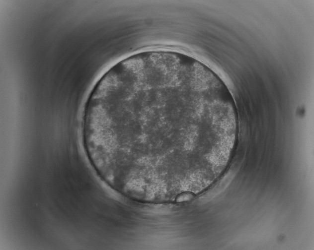 X0000102361533200808291213