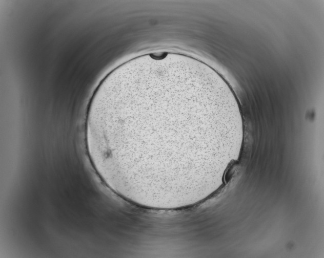 X0000102361534200808291213