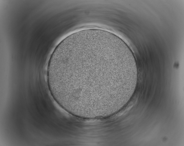 X0000102361535200808291213