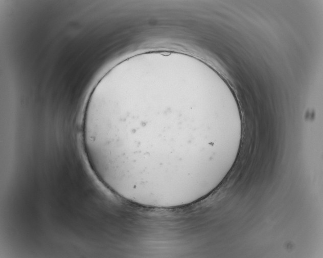 X0000102361536200808291213