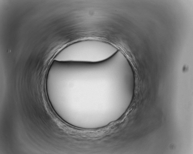 X0000102370001200808011035