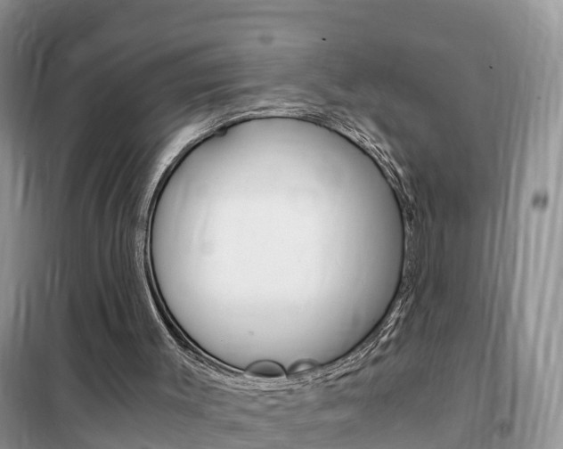 X0000102370003200808011034