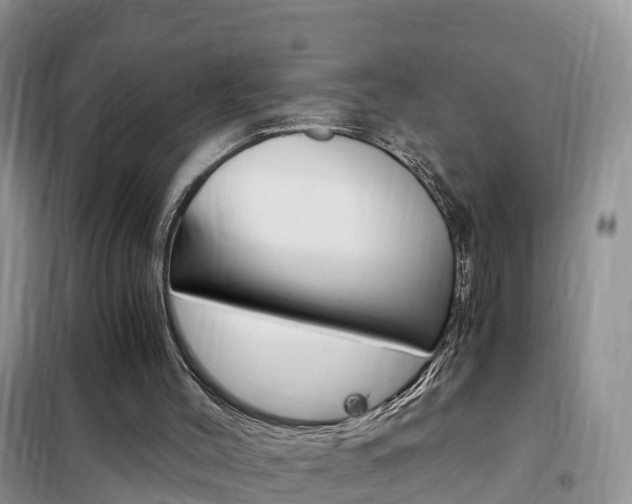 X0000102370004200808011034