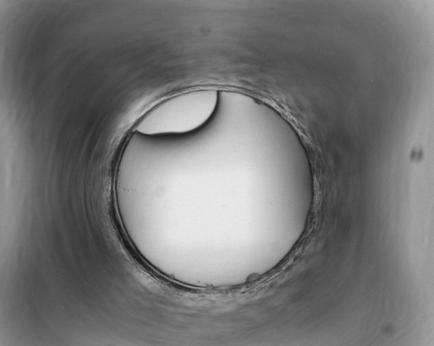 X0000102370005200808011034