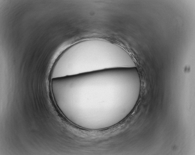 X0000102370006200808011034