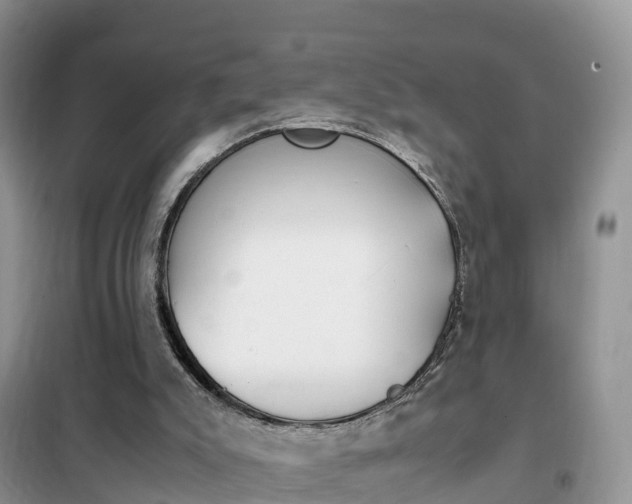 X0000102370007200808011034