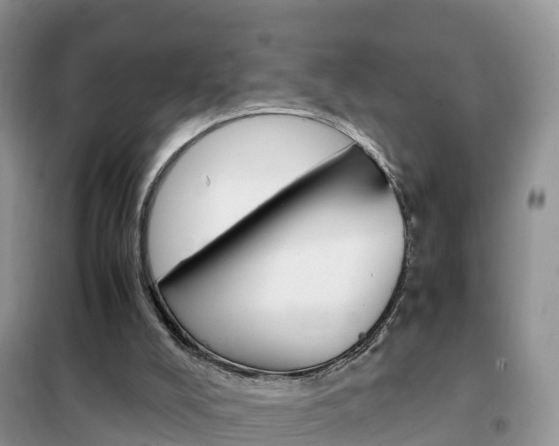 X0000102370008200808011034