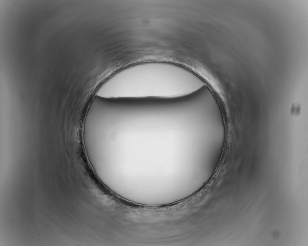 X0000102370009200808011034