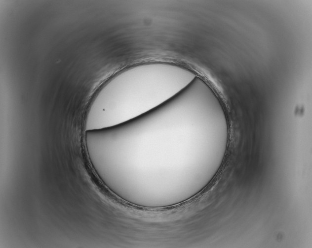 X0000102370010200808011034