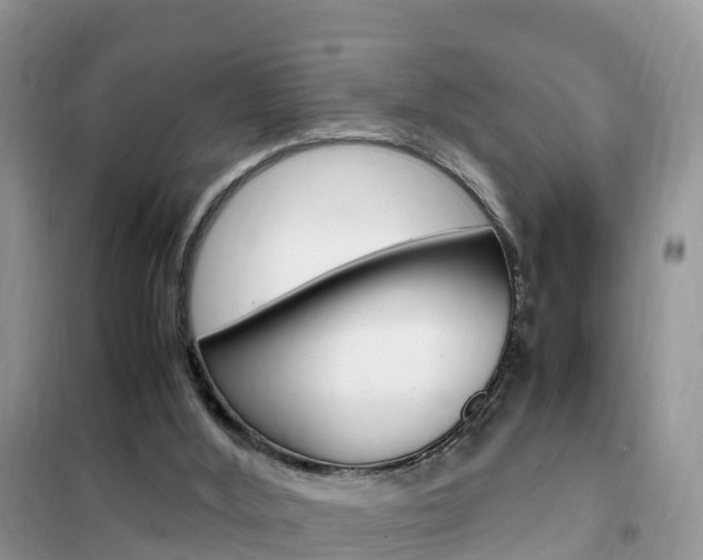 X0000102370012200808011034