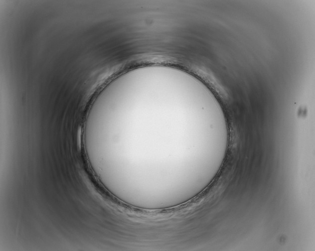 X0000102370014200808011034