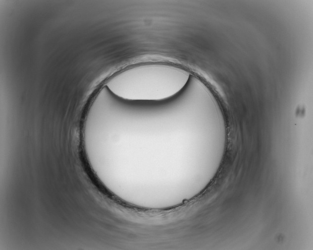 X0000102370015200808011034