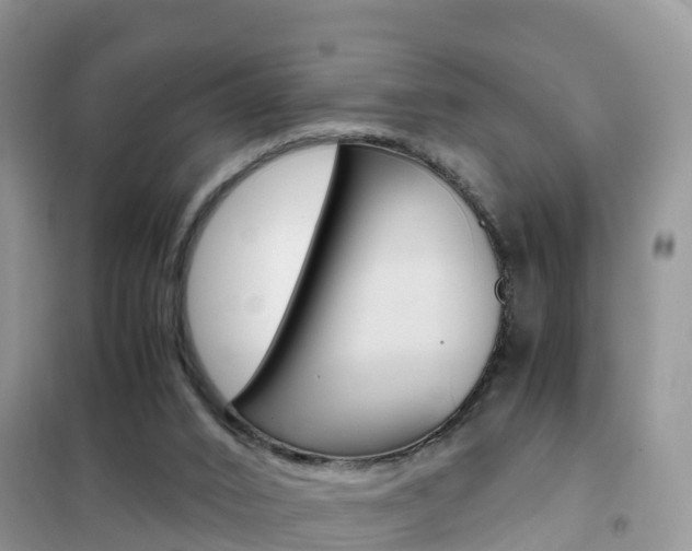 X0000102370016200808011034