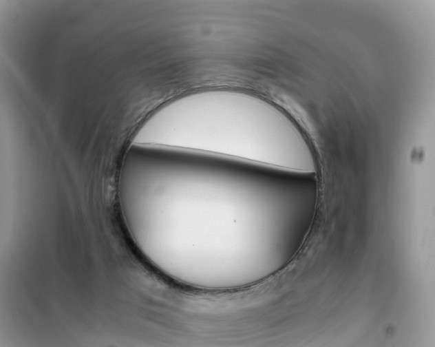 X0000102370017200808011034