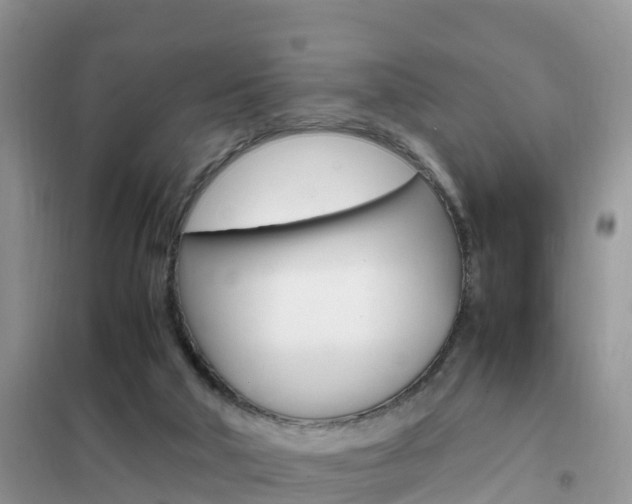X0000102370018200808011034