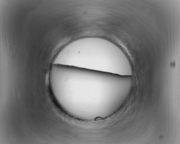 X0000102370019200808011034