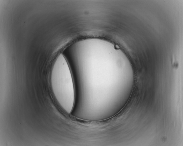 X0000102370020200808011034
