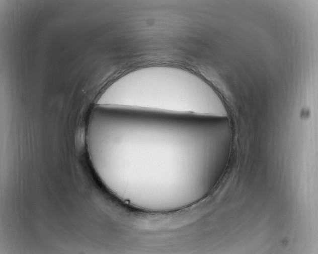 X0000102370021200808011034