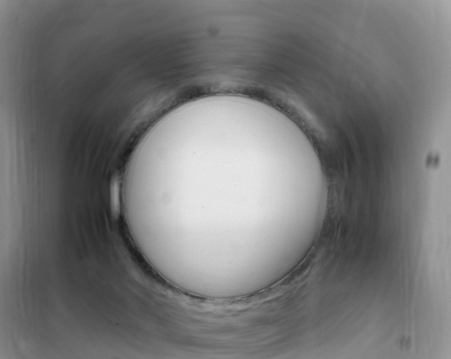 X0000102370022200808011034