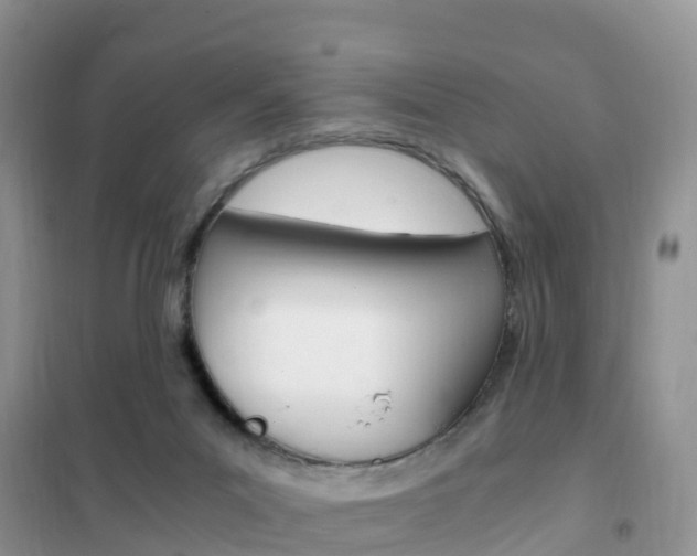 X0000102370023200808011034