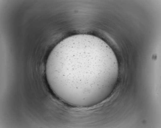 X0000102370025200808011034