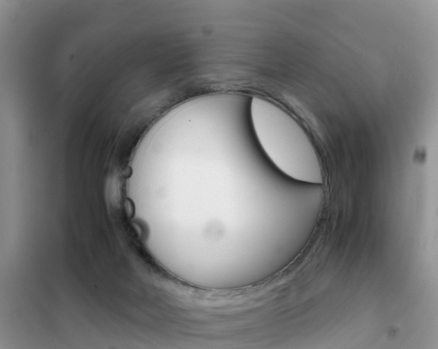 X0000102370026200808011034
