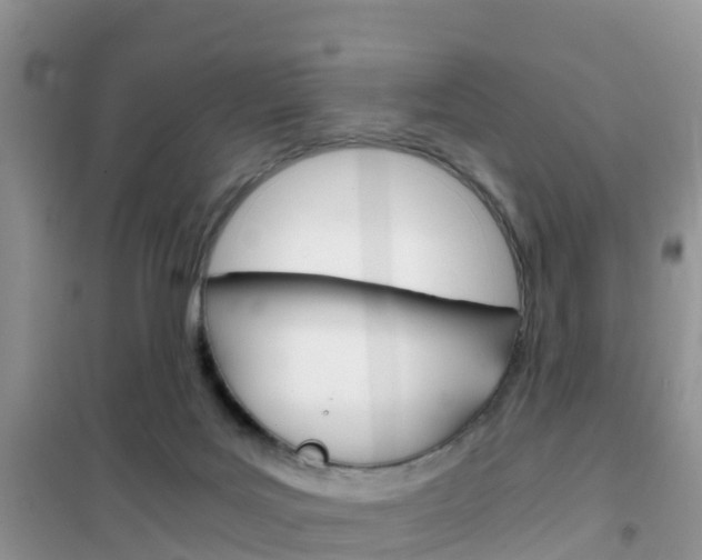X0000102370027200808011034