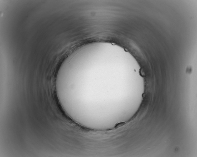 X0000102370029200808011034