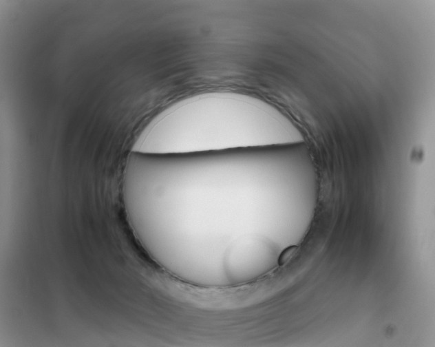 X0000102370030200808011034
