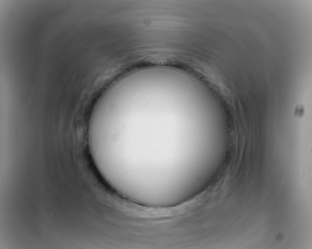 X0000102370031200808011034