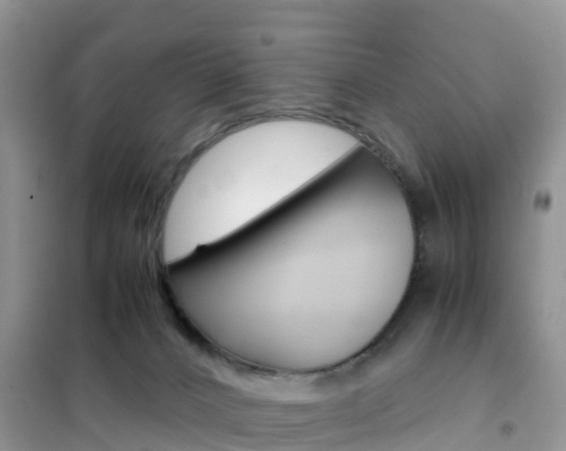 X0000102370032200808011034