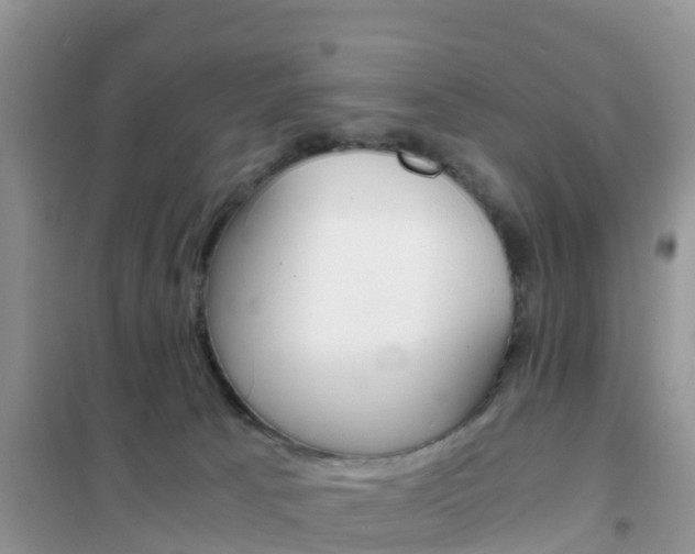 X0000102370033200808011034