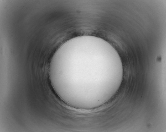 X0000102370034200808011034
