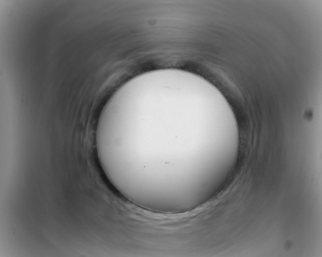 X0000102370035200808011034