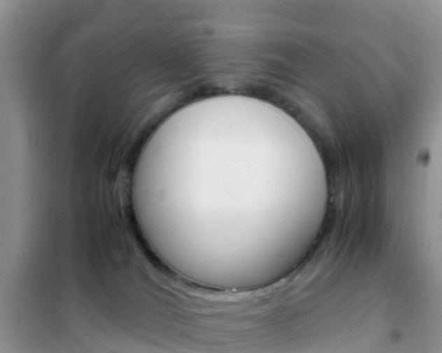 X0000102370036200808011034