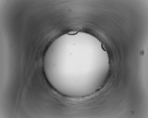 X0000102370037200808011034