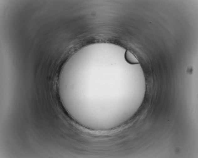 X0000102370038200808011034