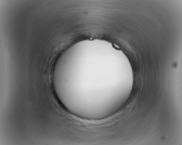 X0000102370039200808011034