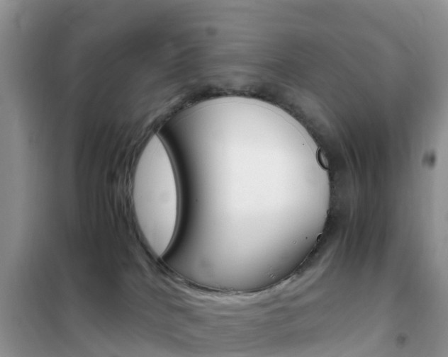 X0000102370040200808011034
