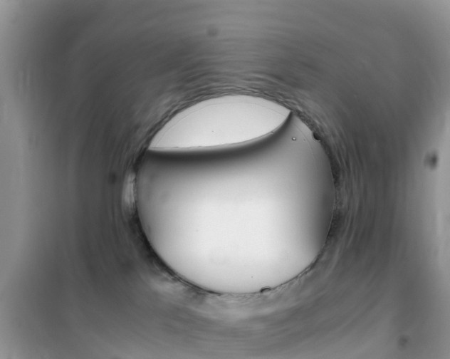 X0000102370041200808011034