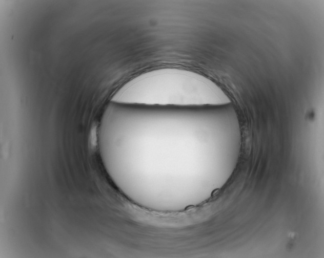 X0000102370042200808011034