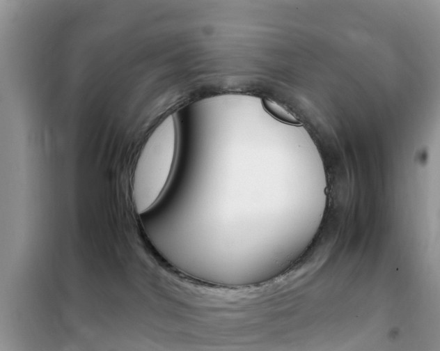 X0000102370044200808011034