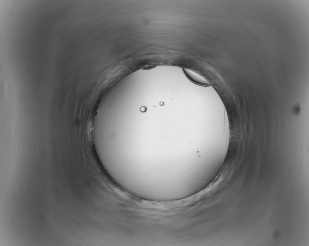 X0000102370045200808011034