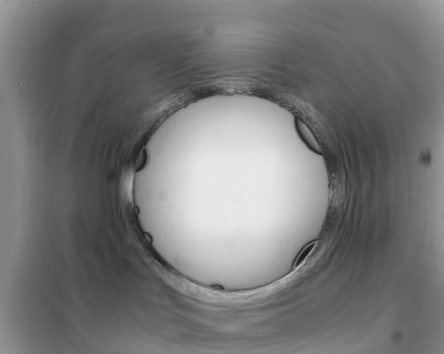 X0000102370047200808011034