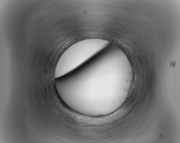 X0000102370048200808011034