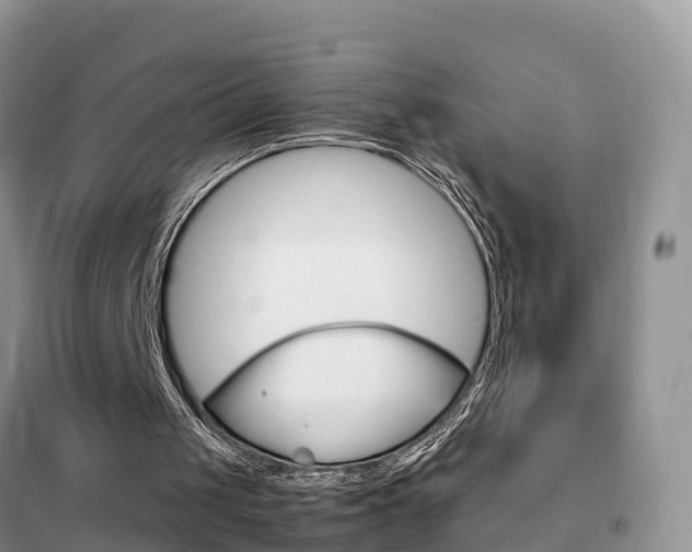 X0000102370049200808011033