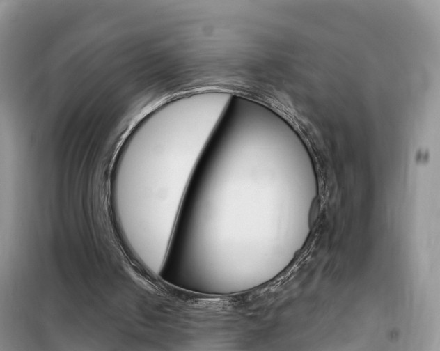 X0000102370050200808011033