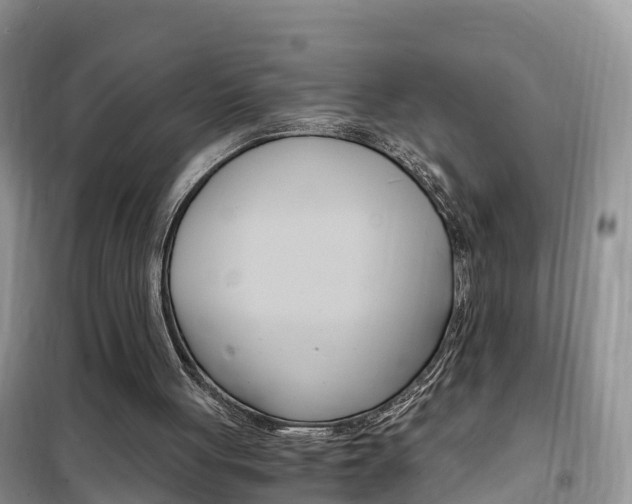 X0000102370051200808011033
