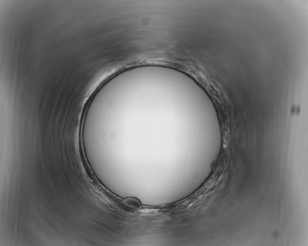 X0000102370052200808011033