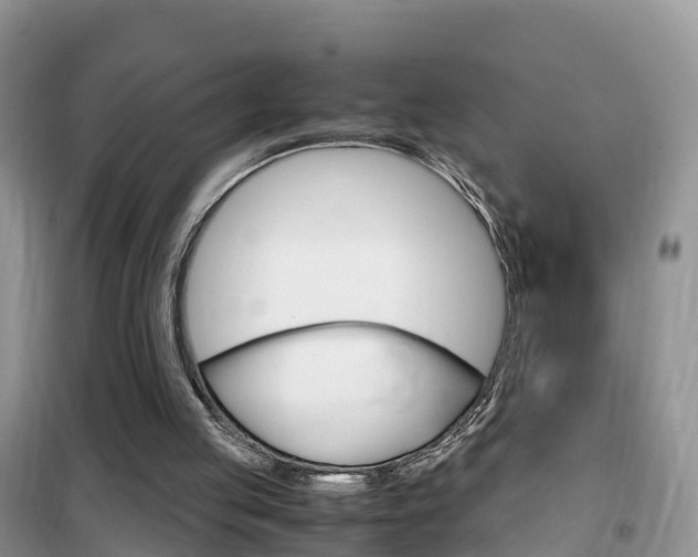 X0000102370053200808011033